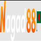 Nagad88vn
