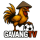 gavangtvvad