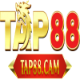 tap88cam