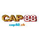 cap88ch