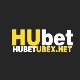 hubetubexnet