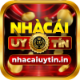nhacaiuytinin