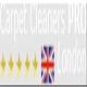 carpetcleanerspro