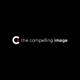 thecompellingimage21