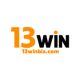 13winbizcom
