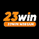 23winwebcam