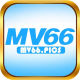 mv66pics