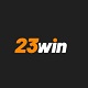 codec23win