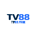 tv88page