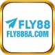 fly888acom