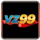 vz99shoes