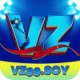 vz99soy