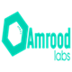 amroodlabs
