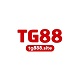 tg888site