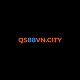 qs88vncity1