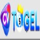 cvtogel