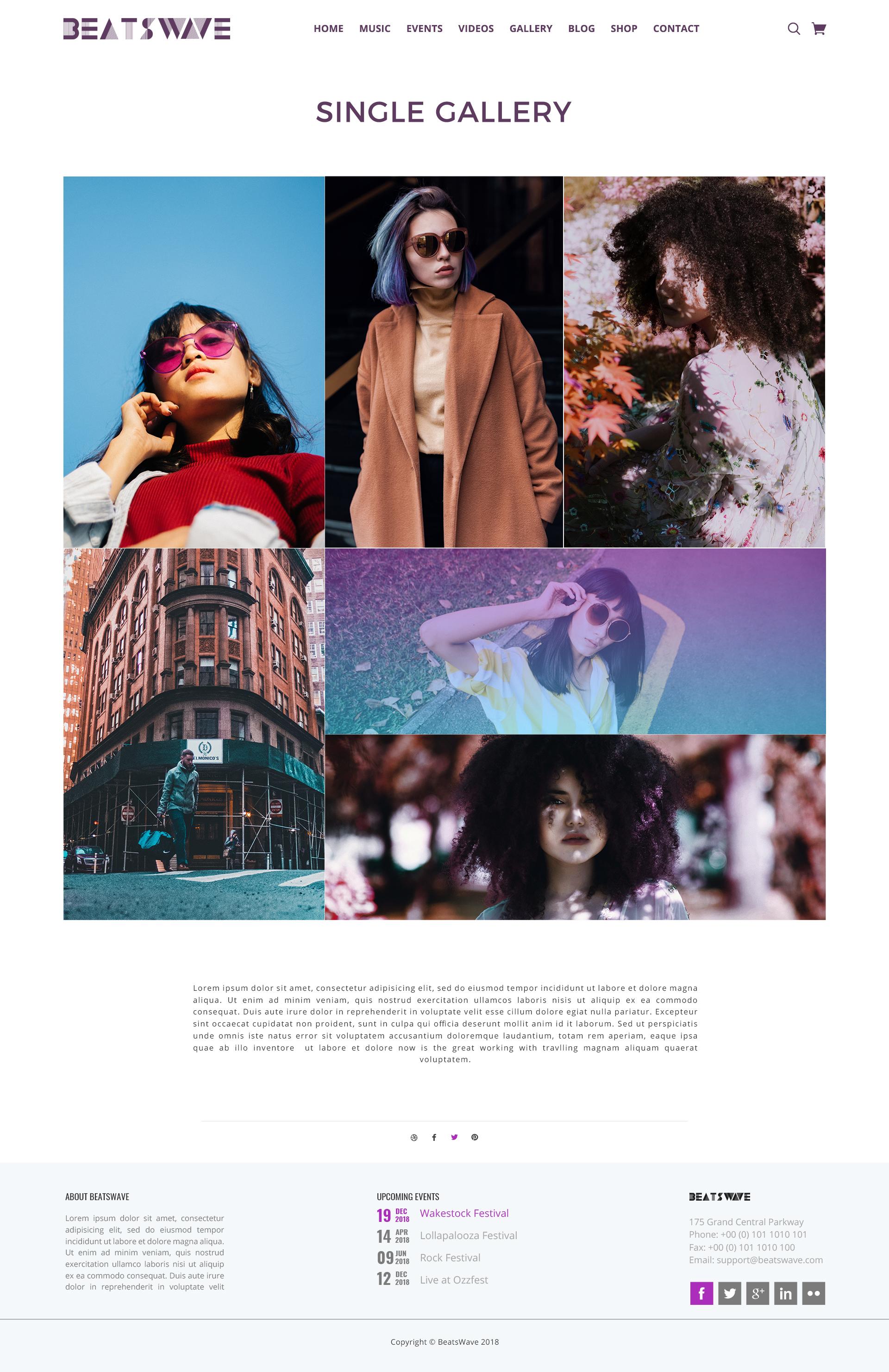 Beatswave | PSD Designed Template for Bands, Musicians, Artists and the Music Industry screenshot 33