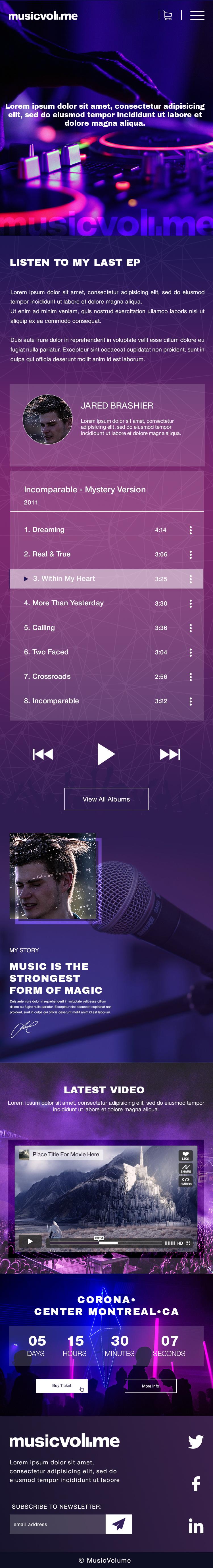 Musicvolume | PSD Theme for Bands, Musicians, Artists and the Music Industry screenshot 2