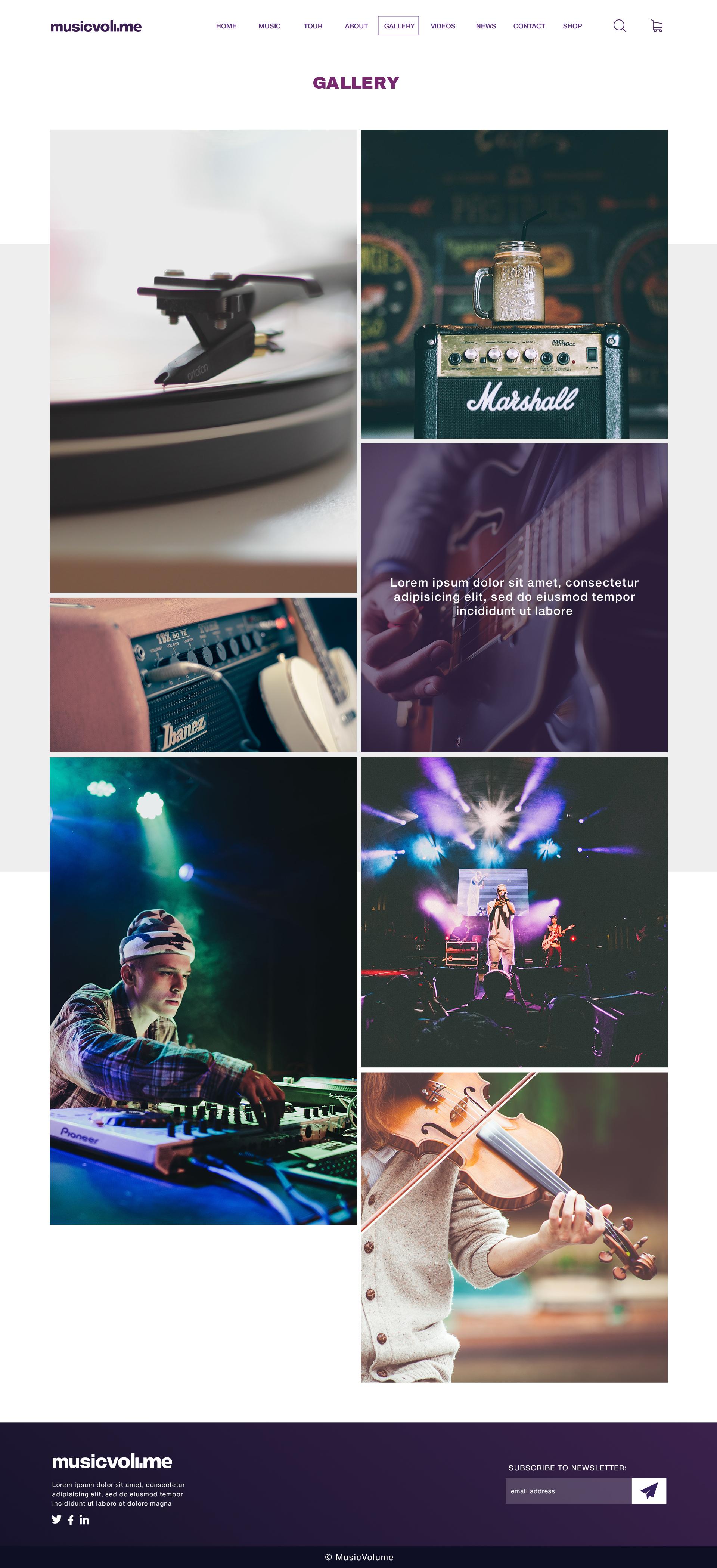 Musicvolume | PSD Theme for Bands, Musicians, Artists and the Music Industry screenshot 3