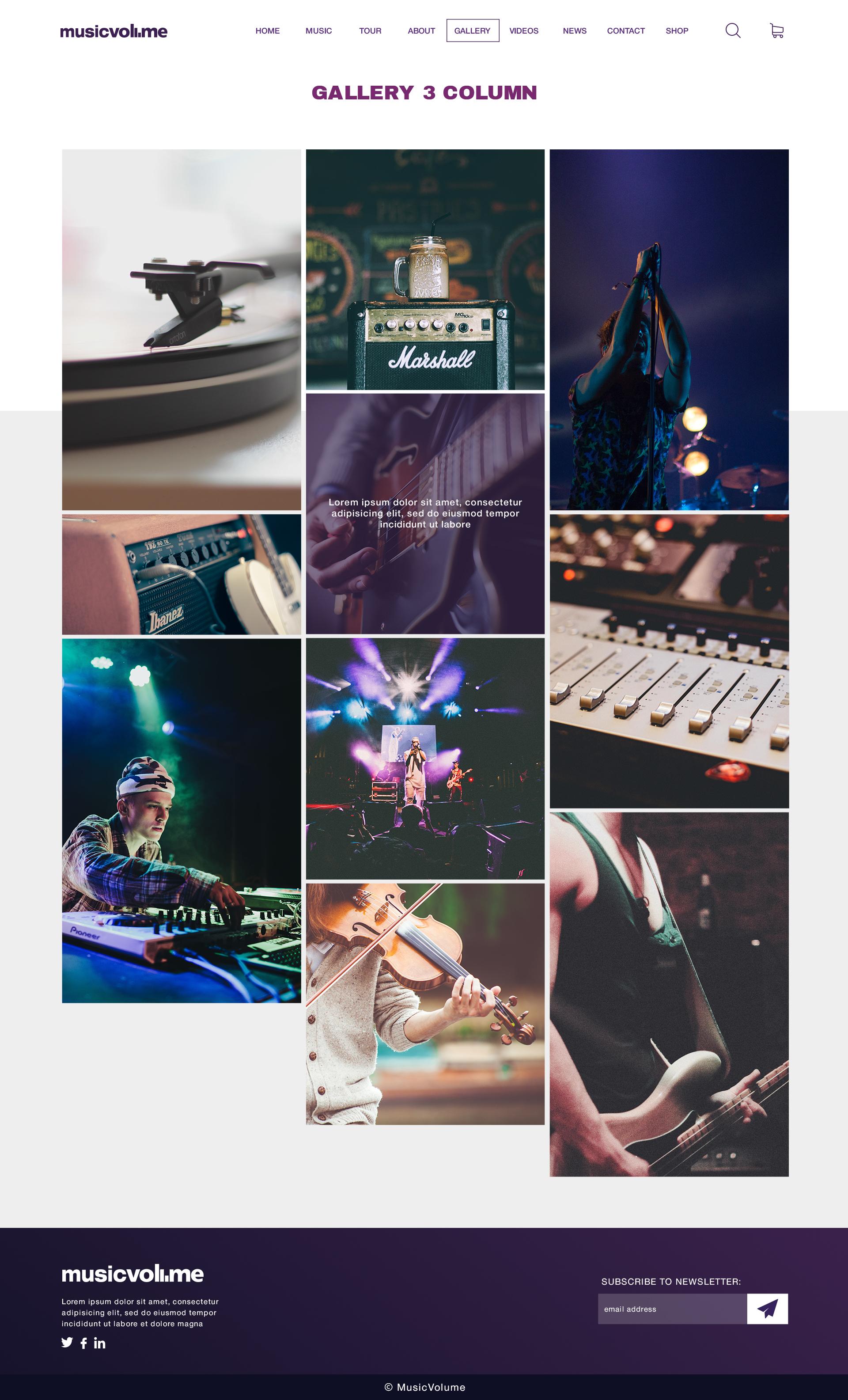 Musicvolume | PSD Theme for Bands, Musicians, Artists and the Music Industry screenshot 4