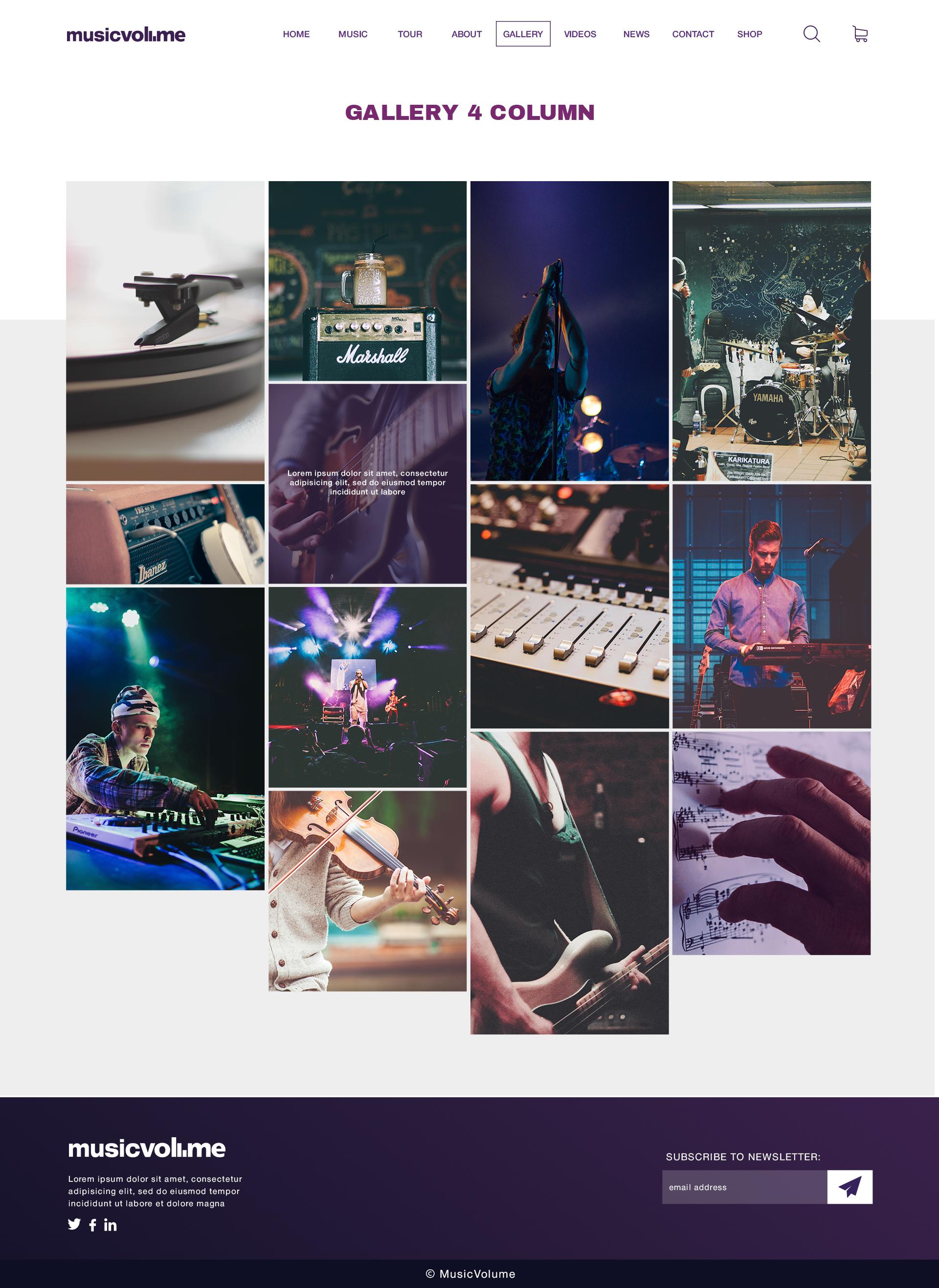 Musicvolume | PSD Theme for Bands, Musicians, Artists and the Music Industry screenshot 5