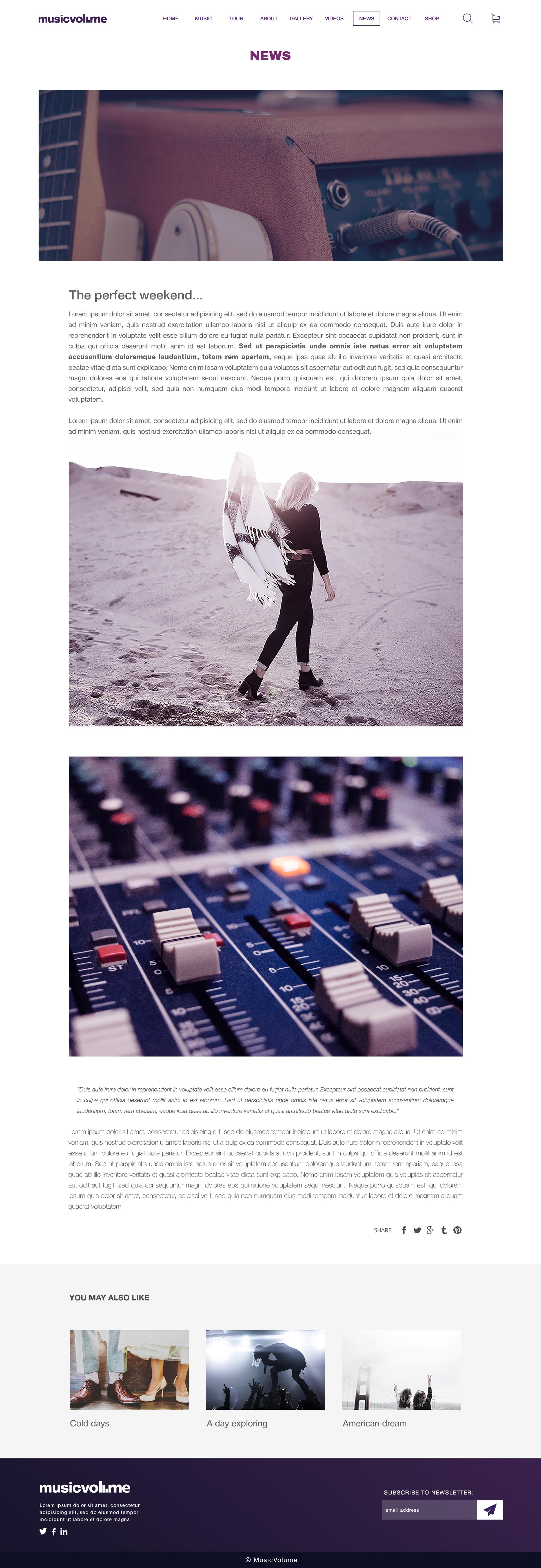 Musicvolume | PSD Theme for Bands, Musicians, Artists and the Music Industry screenshot 18