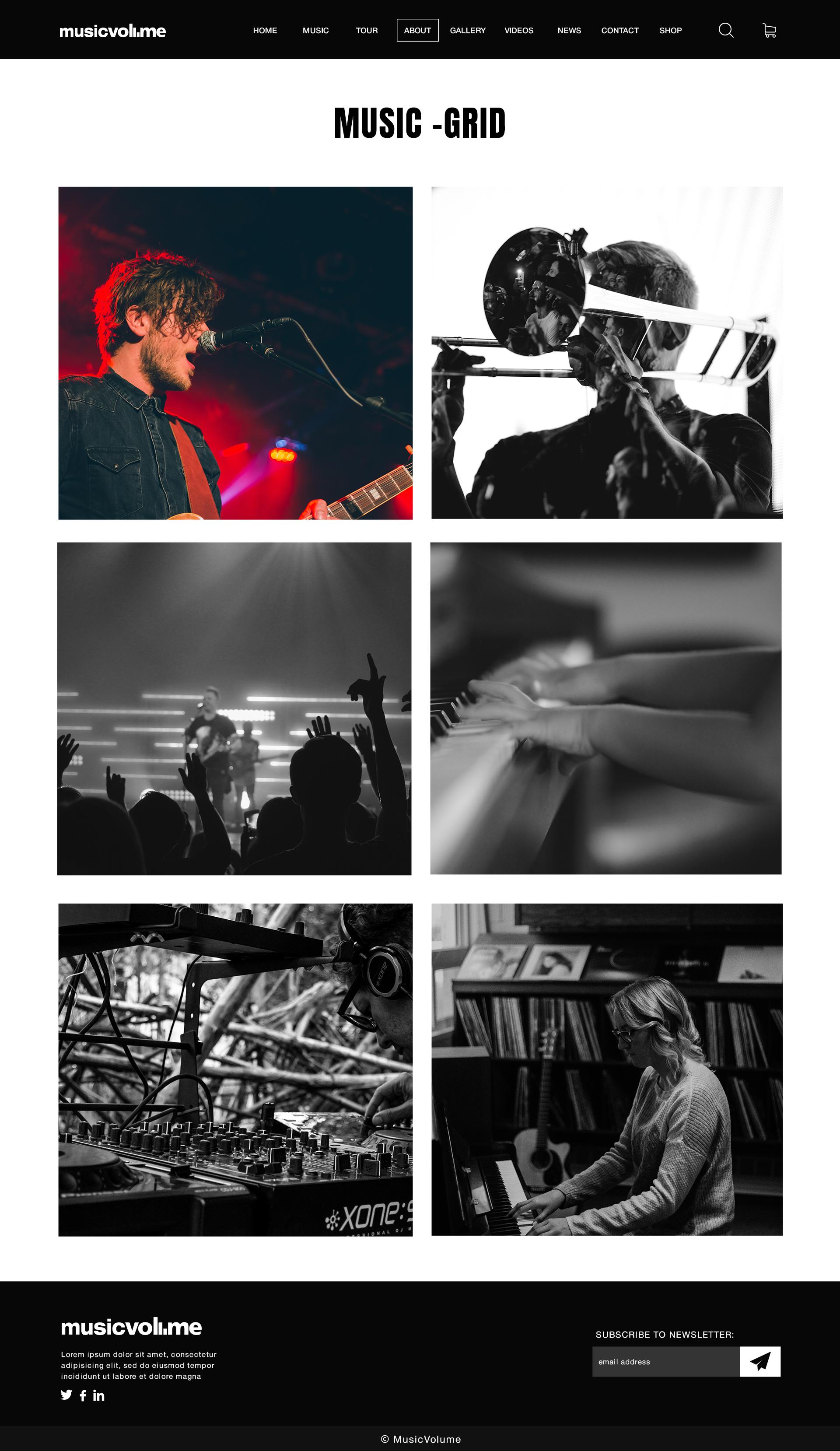 Musicvolume | PSD Theme for Bands, Musicians, Artists and the Music Industry screenshot 29