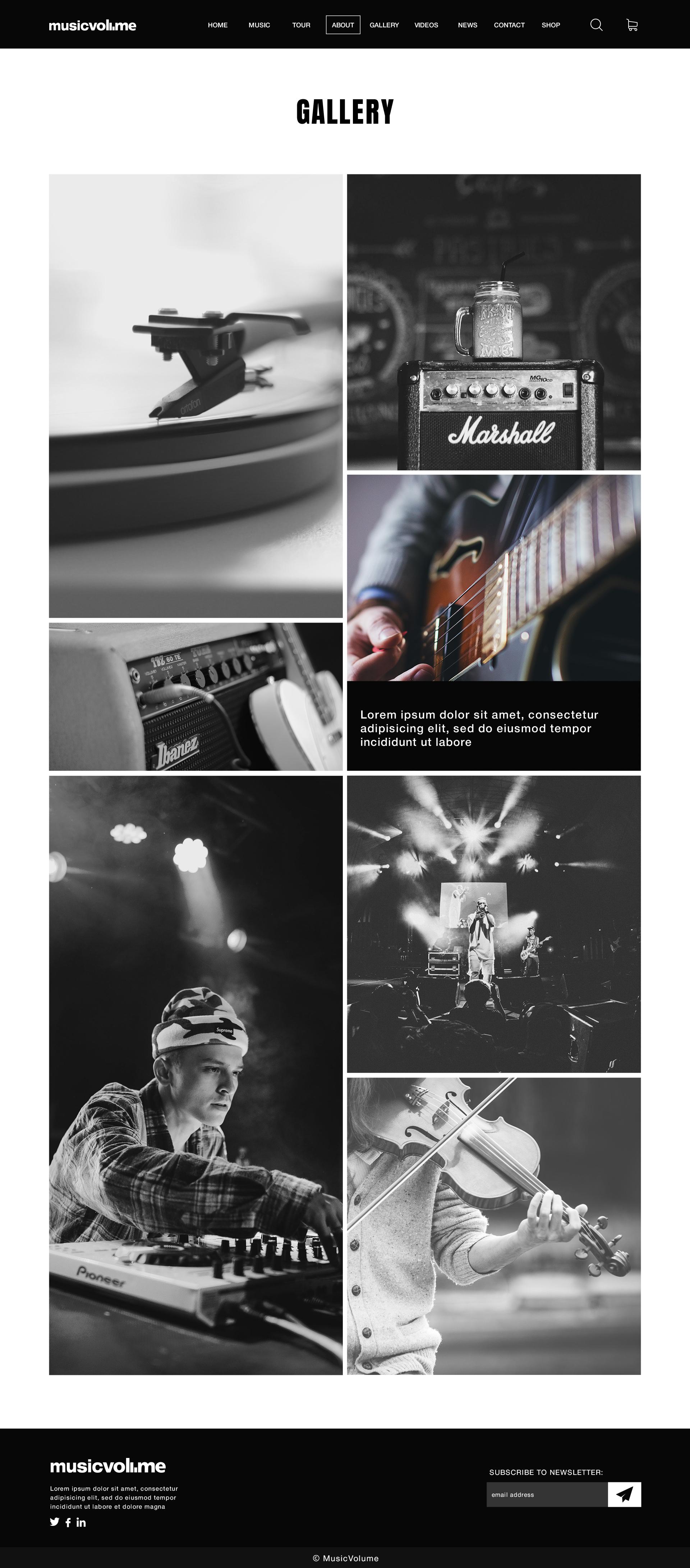 Musicvolume | PSD Theme for Bands, Musicians, Artists and the Music Industry screenshot 30