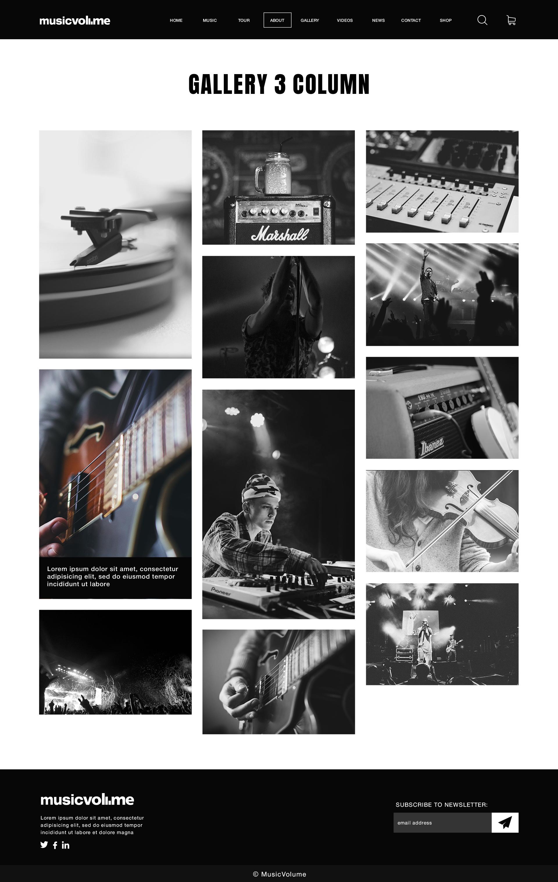Musicvolume | PSD Theme for Bands, Musicians, Artists and the Music Industry screenshot 31
