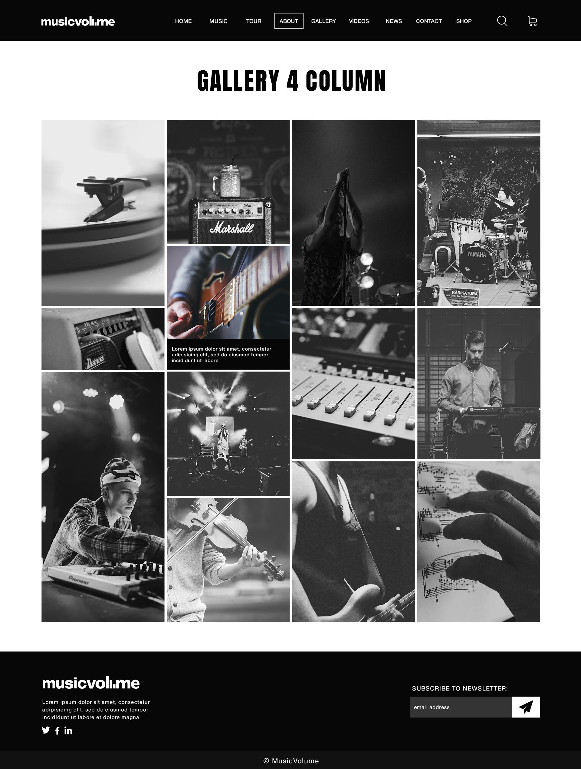 Musicvolume | PSD Theme for Bands, Musicians, Artists and the Music Industry screenshot 32