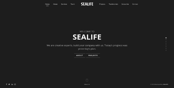 Sealife - Fullscreen Scrolling Portfolio Template screenshot 2