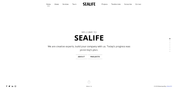 Sealife - Fullscreen Scrolling Portfolio Template screenshot 3