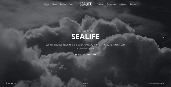 Sealife - Fullscreen Scrolling Portfolio Template screenshot 4