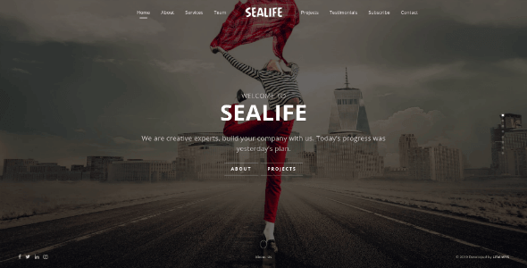 Sealife - Fullscreen Scrolling Portfolio Template screenshot 6