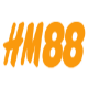 hm8895705