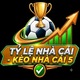 tylenhacaikqbd