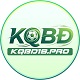 kqbd18pro