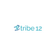 Tribe12org