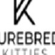 purebredkitties