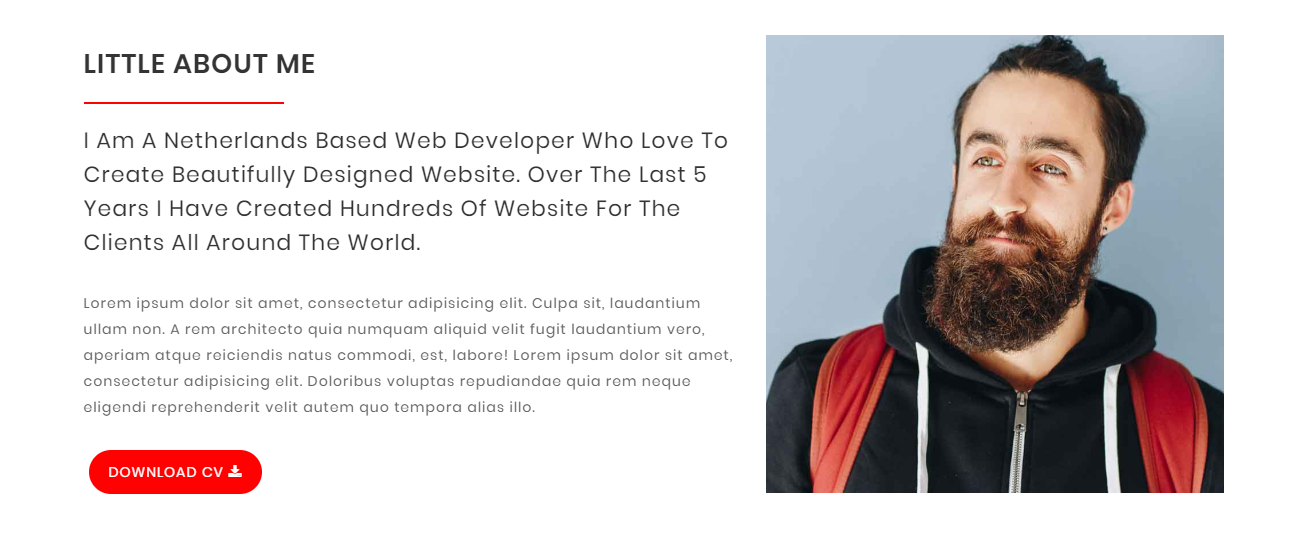 Alo - Personal Portfolio HTML Template screenshot 1