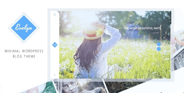 Evelyn - A WordPress Blog Theme