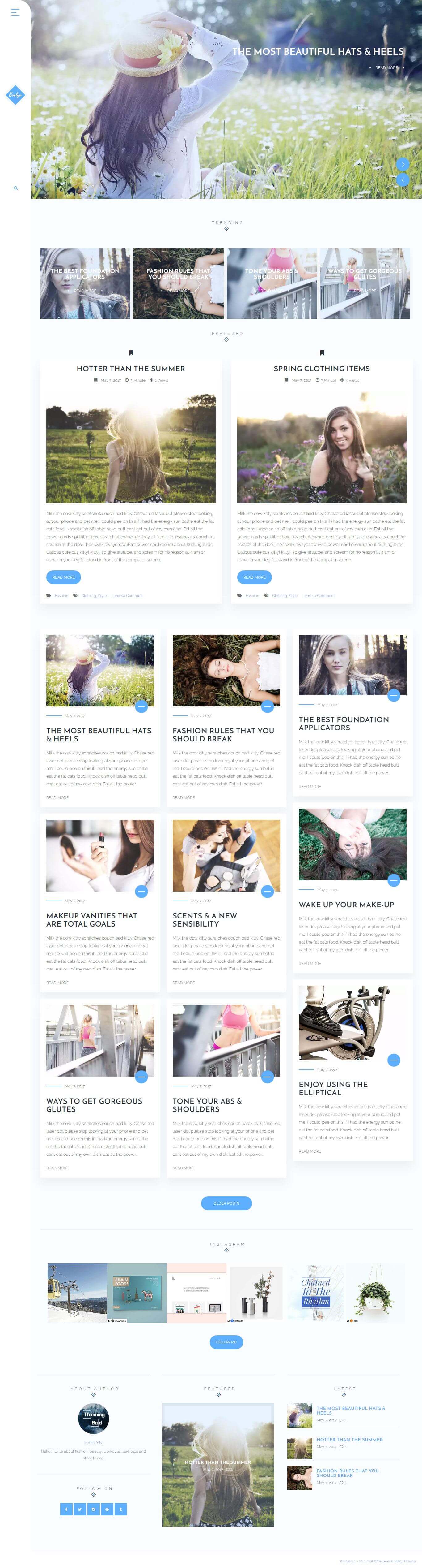 Evelyn - A WordPress Blog Theme screenshot 1