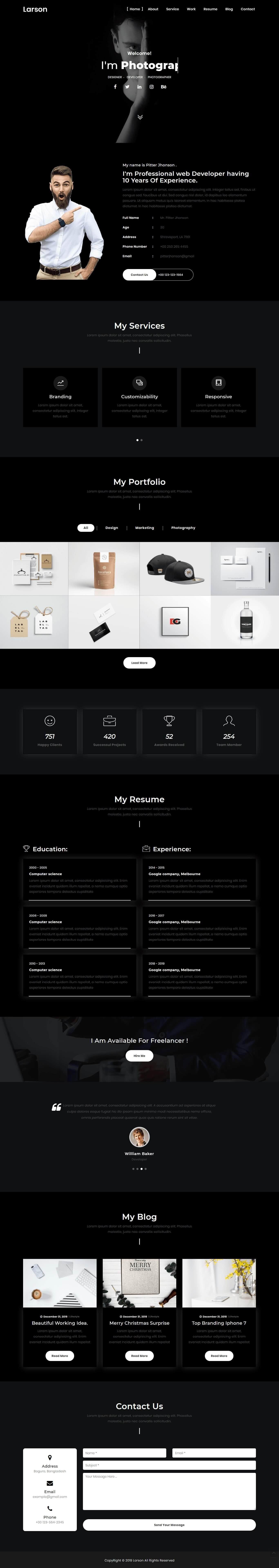 Larson Personal Portfolio Template screenshot 1
