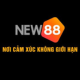 trangchunew88online