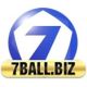 7ballbiz