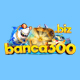 banca300biz