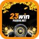 23winpaidoo