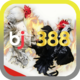 bj388contact