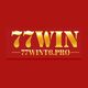 77wint6pro