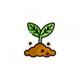 seedlingcrypto